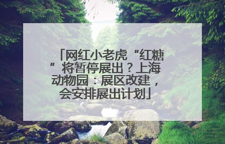 网红小老虎“红糖”将暂停展出？上海动物园：展区改建，会安排展出计划