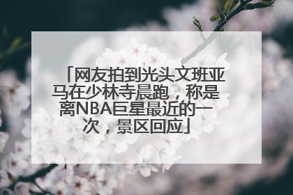 网友拍到光头文班亚马在少林寺晨跑，称是离NBA巨星最近的一次，景区回应
