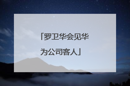 罗卫华会见华为公司客人