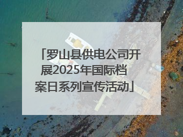 罗山县供电公司开展2025年国际档案日系列宣传活动