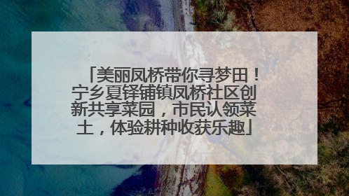 美丽凤桥带你寻梦田！宁乡夏铎铺镇凤桥社区创新共享菜园，市民认领菜土，体验耕种收获乐趣