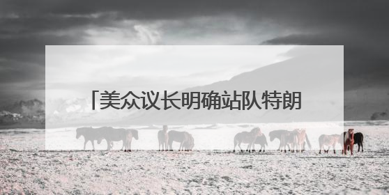 美众议长明确站队特朗普：“大而美”法案不是为了取悦世界首富