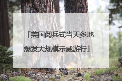 美国阅兵式当天多地爆发大规模示威游行
