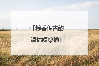 粽香传古韵 温情暖桑榆