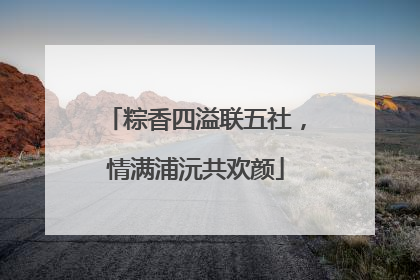 粽香四溢联五社，情满浦沅共欢颜
