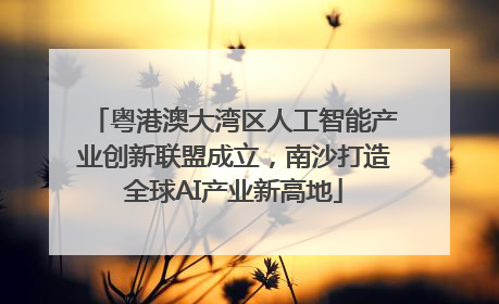 粤港澳大湾区人工智能产业创新联盟成立，南沙打造全球AI产业新高地