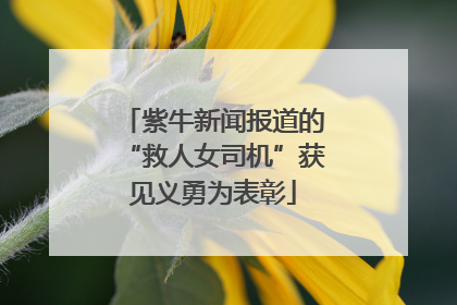 紫牛新闻报道的“救人女司机”获见义勇为表彰