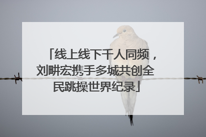 线上线下千人同频，刘畊宏携手多城共创全民跳操世界纪录