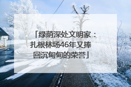 绿荫深处文明家：扎根林场46年又捧回沉甸甸的荣誉