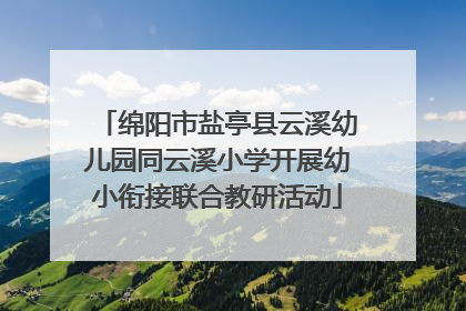 绵阳市盐亭县云溪幼儿园同云溪小学开展幼小衔接联合教研活动