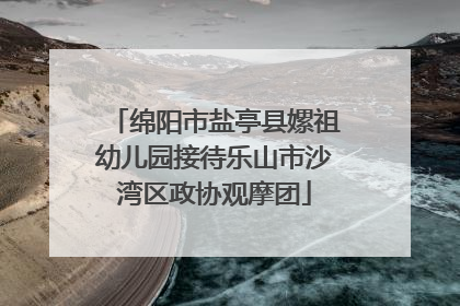 绵阳市盐亭县嫘祖幼儿园接待乐山市沙湾区政协观摩团