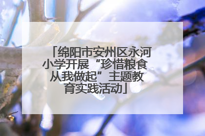 绵阳市安州区永河小学开展“珍惜粮食 从我做起”主题教育实践活动