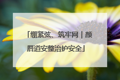 绷紧弦、筑牢网｜颜厝道安整治护安全