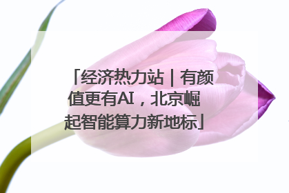 经济热力站｜有颜值更有AI，北京崛起智能算力新地标