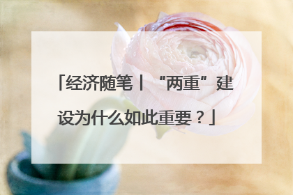 经济随笔丨“两重”建设为什么如此重要？