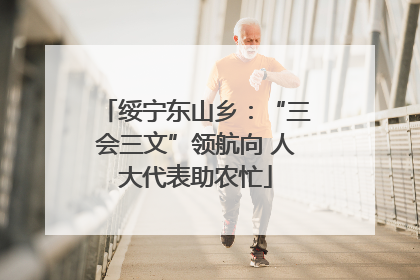 绥宁东山乡：“三会三文”领航向 人大代表助农忙