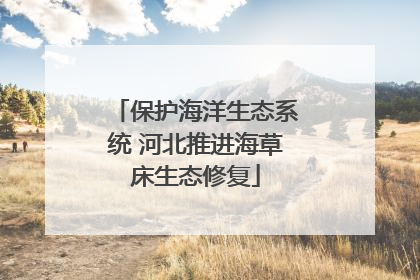 保护海洋生态系统 河北推进海草床生态修复