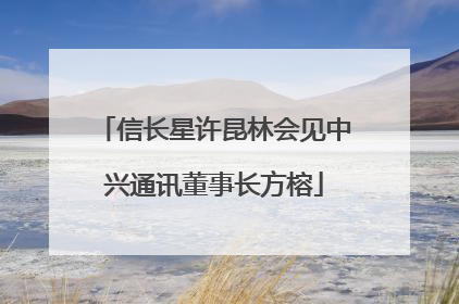 信长星许昆林会见中兴通讯董事长方榕