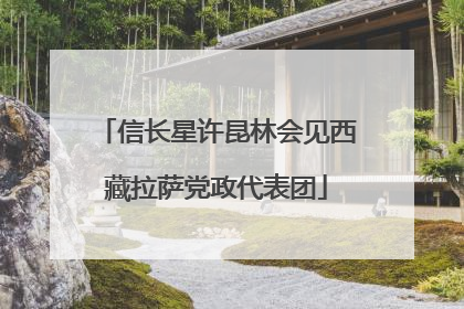 信长星许昆林会见西藏拉萨党政代表团