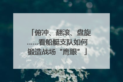 俯冲、翻滚、盘旋……看船艇支队如何锻造战场“鹰眼”