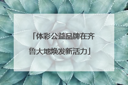 体彩公益品牌在齐鲁大地焕发新活力