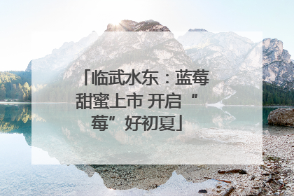 临武水东：蓝莓甜蜜上市 开启“莓”好初夏