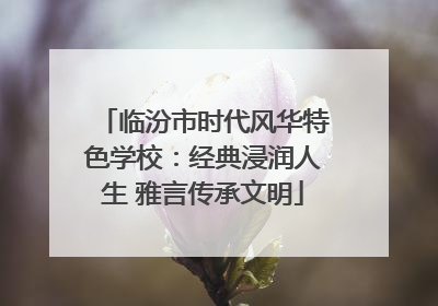 临汾市时代风华特色学校：经典浸润人生 雅言传承文明