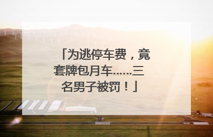 为逃停车费，竟套牌包月车……三名男子被罚！