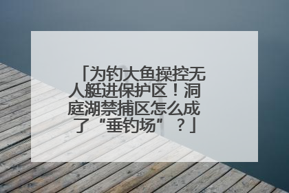 为钓大鱼操控无人艇进保护区！洞庭湖禁捕区怎么成了“垂钓场”？