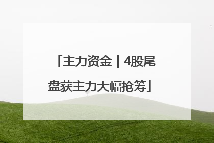 主力资金｜4股尾盘获主力大幅抢筹