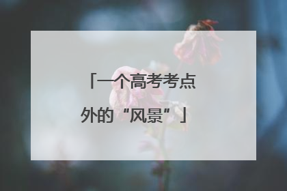一个高考考点外的“风景”