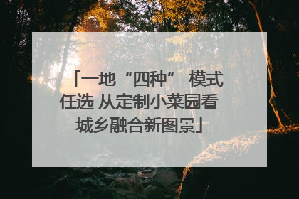 一地“四种” 模式任选 从定制小菜园看城乡融合新图景