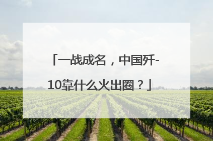 一战成名，中国歼-10靠什么火出圈？