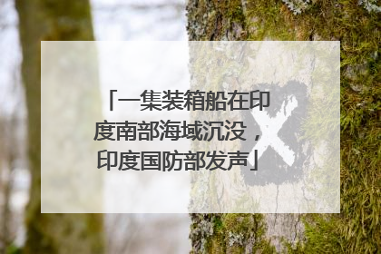 一集装箱船在印度南部海域沉没，印度国防部发声