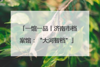 一馆一品丨济南市档案馆：“大河智档”