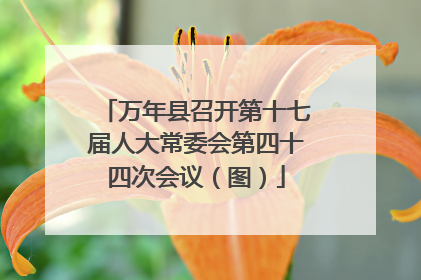 万年县召开第十七届人大常委会第四十四次会议（图）