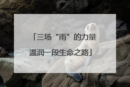 三场“雨”的力量温润一段生命之路