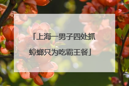 上海一男子四处抓蟑螂只为吃霸王餐