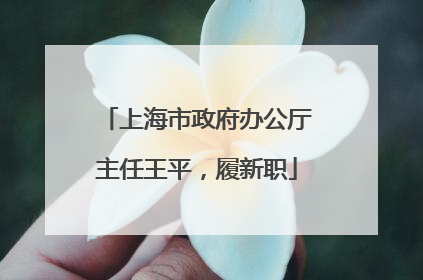 上海市政府办公厅主任王平，履新职