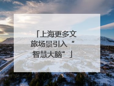 上海更多文旅场景引入“智慧大脑”