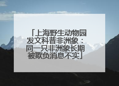 上海野生动物园发文科普非洲象：同一只非洲象长期被欺负消息不实