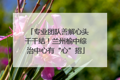 专业团队善解心头千千结！兰州榆中综治中心有“心”招