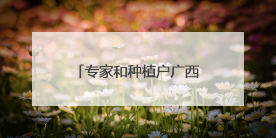 专家和种植户广西柳州探寻玉米产业提质增效新路径