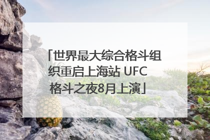 世界最大综合格斗组织重启上海站 UFC格斗之夜8月上演