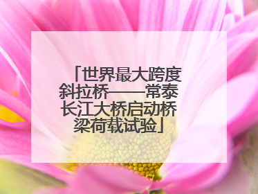 世界最大跨度斜拉桥——常泰长江大桥启动桥梁荷载试验