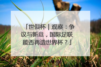世俱杯｜观察：争议与新意，国际足联能否再造世界杯？