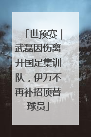世预赛｜武磊因伤离开国足集训队，伊万不再补招顶替球员