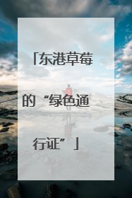 东港草莓的“绿色通行证”