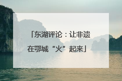 东湖评论：让非遗在鄂城“火”起来