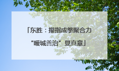 东胜：攥指成拳聚合力 “暖城善治”显真章